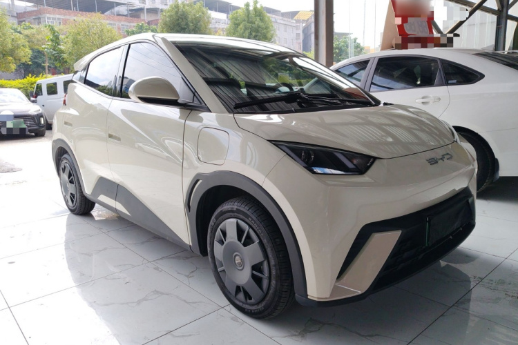 比亚迪 海鸥 2023款 活力版车身外观3