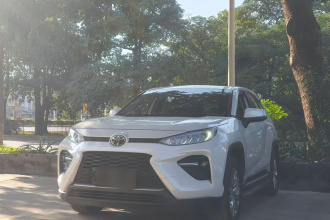 丰田 威兰达 2021款 2.0L CVT两驱豪华版