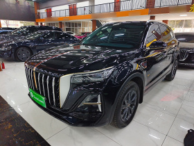 红旗HS5 2025款 2.0T 两驱60万辆纪念版