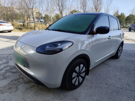 五菱汽车 五菱缤果 2024款 333km 悦享款