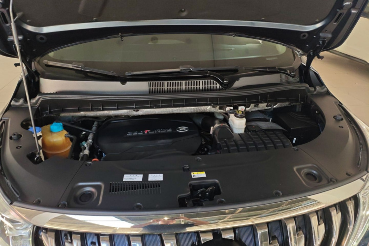 广汽传祺 传祺M8 2021款 大师系列 390T 至尊版局部细节24