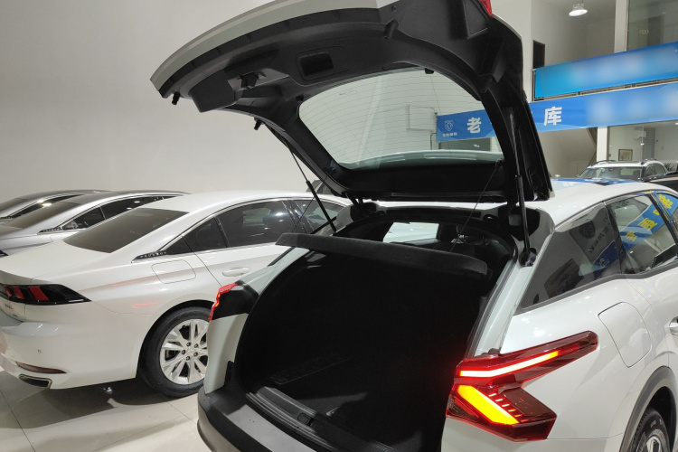 雪铁龙 凡尔赛C5 X 2023款 1.6T 享不凡机舱底盘23