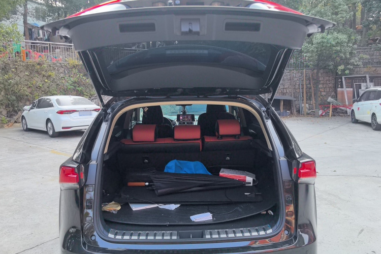 雷克萨斯NX 2018款 200 前驱 锋行版 国V局部细节23