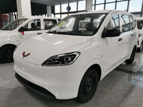 五菱汽车 五菱宏光新能源 2024款 纯电版 300KM 标准型