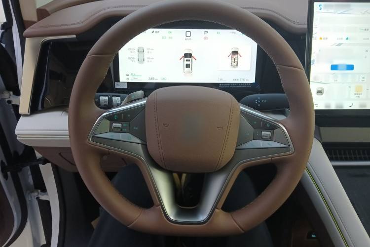 比亚迪 夏 2025款 DM-i 1.5T 180km 超越型局部细节13