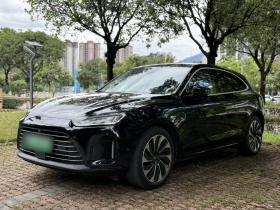 鸿蒙智行 问界M5 2022款 增程后驱标准版