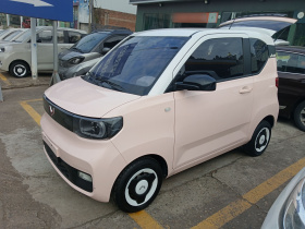 五菱汽车 宏光MINIEV 2021款 马卡龙时尚款 三元锂