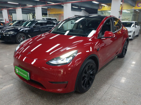 特斯拉 Model Y 2021款 长续航全轮驱动版