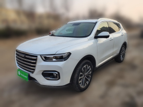 哈弗H6 2020款 1.5GDIT 自动铂金冠军版