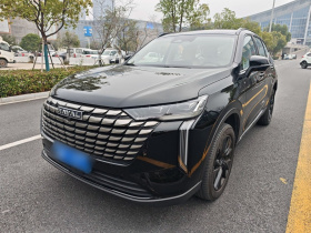 哈弗H6 2024款 2.0T 四驱Max