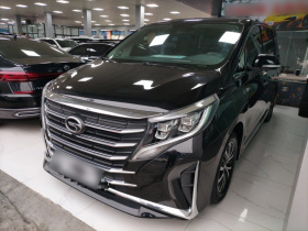 广汽传祺 传祺M8 2021款 改款 领秀系列 390T 豪华版