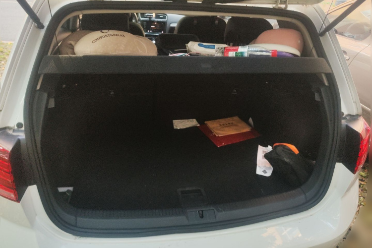 大众 高尔夫 2019款 1.6L 自动舒适型 国V局部细节23