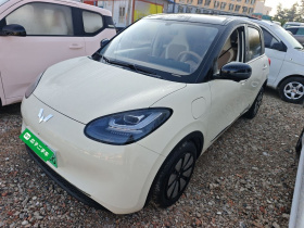 五菱汽车 五菱缤果 2025款 333km 灵犀尊享款