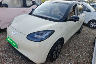 五菱汽车 五菱缤果 2025款 333km 灵犀尊享款