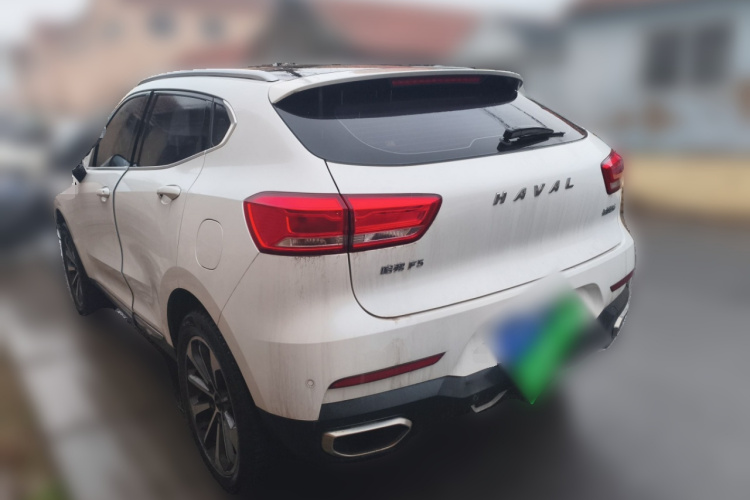 哈弗F5 2019款 国潮版 1.5T i潮 国VI车身外观5