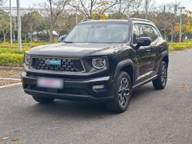 哈弗大狗 PLUS 新能源 2024款 Hi4 102km 潮电版Plus