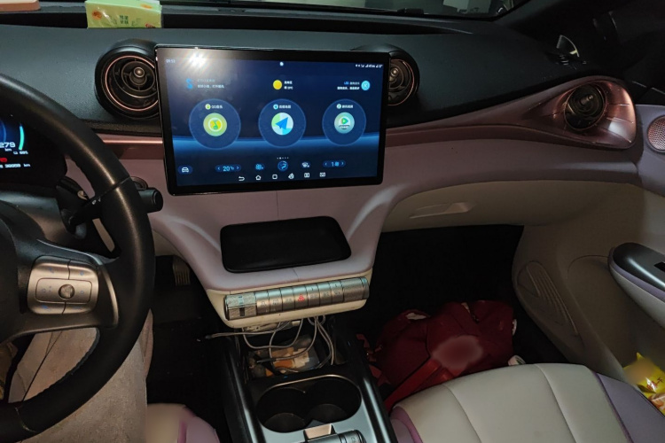 比亚迪 海豚 2021款 405km 自由版局部细节16