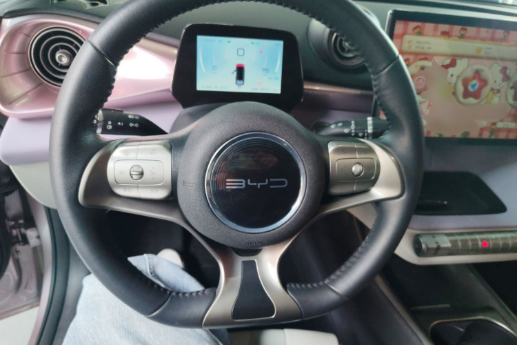 比亚迪 海豚 2021款 405km 自由版中控内饰13