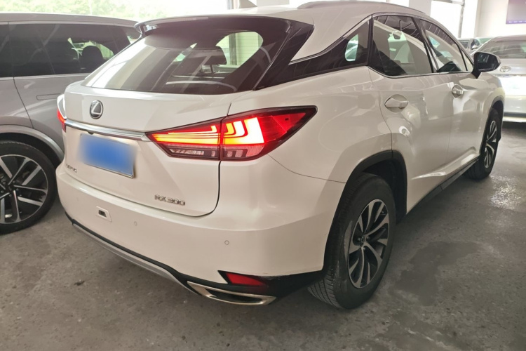 雷克萨斯RX 2020款 改款 300 两驱舒适版车身外观7