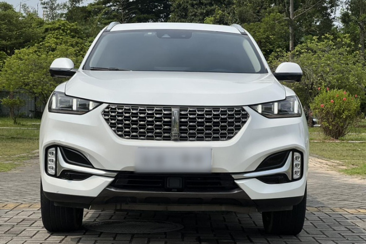 魏牌 VV6 2021款 2.0T 两驱智护+车身外观6011