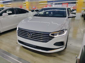 大众 朗逸 2024款 1.5L 自动五百万版