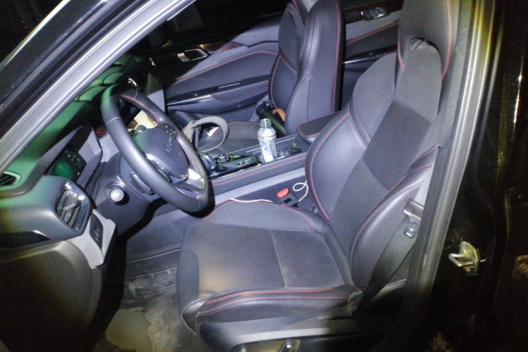 领克03 2019款 2.0TD 自动劲Pro版中控内饰19