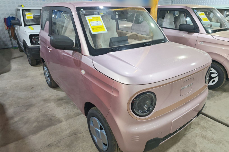 吉利银河 2024款 熊猫mini 200km 耐力熊车身外观3