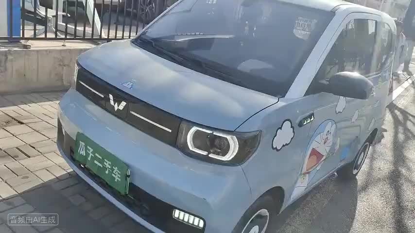 五菱汽车 宏光MINIEV 2022款 轻松款 三元锂检测视频1