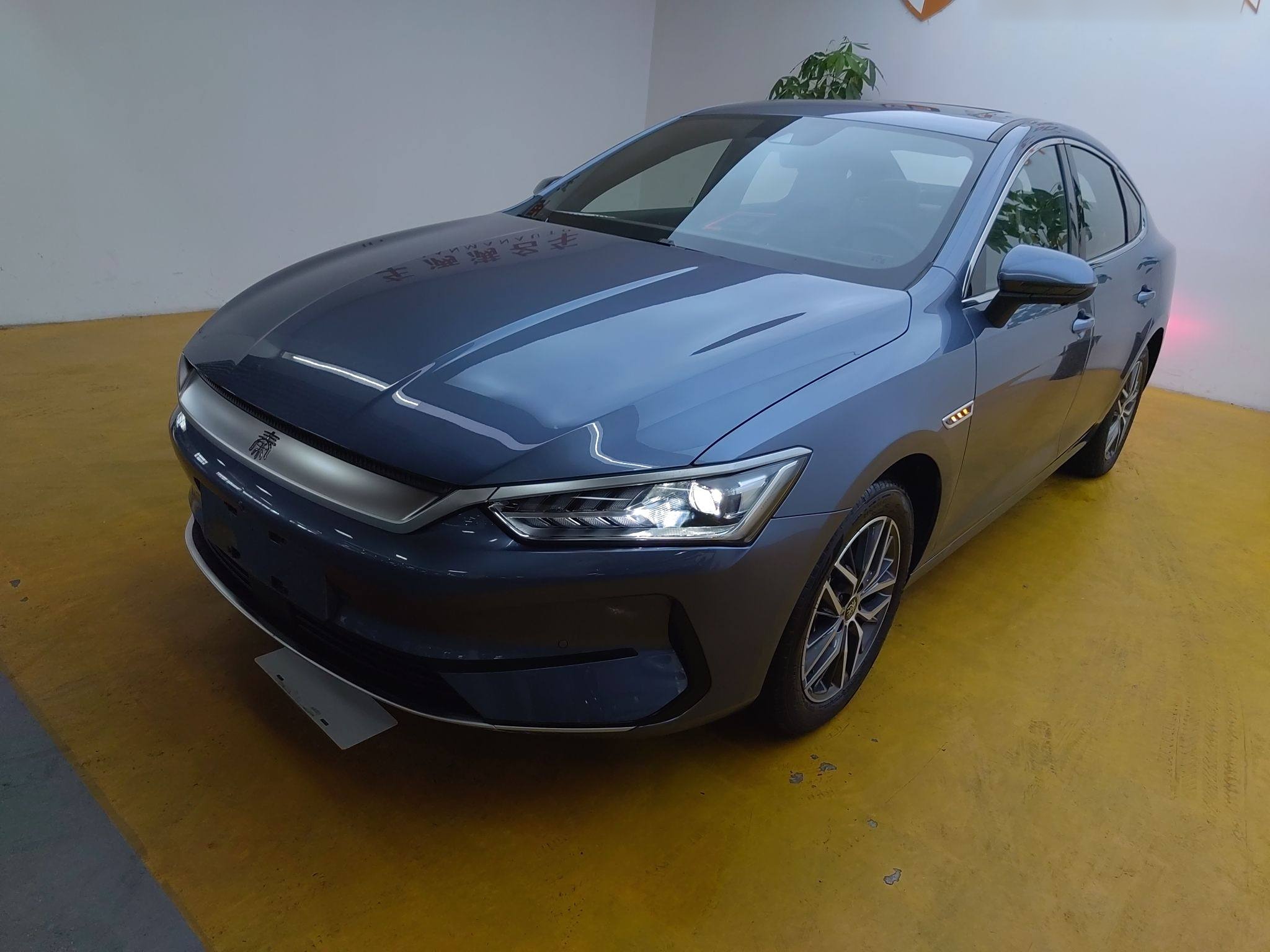 比亚迪 秦PLUS 2024款 荣耀版 EV 510KM卓越型