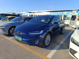 特斯拉 Model X 2019款 长续航版