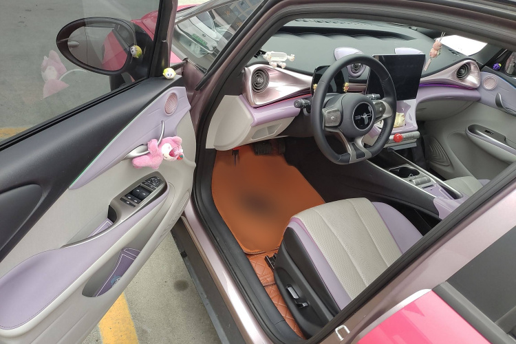 比亚迪 海豚 2023款 420km 时尚版中控内饰7002