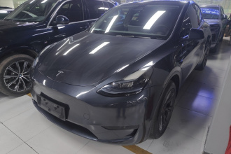 特斯拉 Model Y 2024款 后轮驱动版