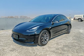 特斯拉 Model 3 2020款 标准续航后驱升级版