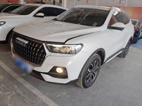 哈弗H6 2023款 国潮版 1.5T 自动都市版