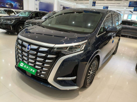 腾势D9 2022款 DM-i 970 四驱旗舰型