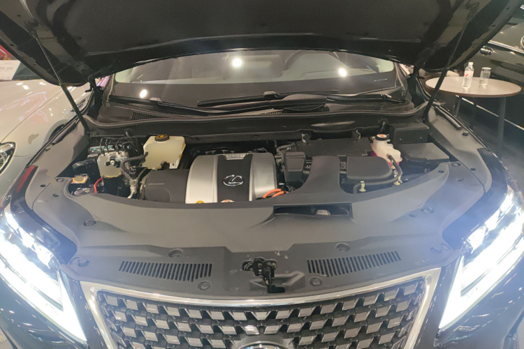 雷克萨斯RX 2020款 450hL 四驱醇享版7座局部细节24