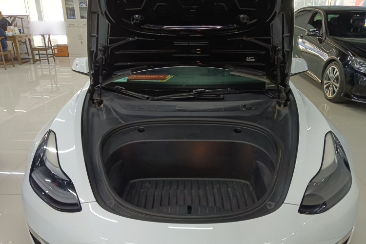特斯拉 Model 3 2021款 Performance高性能全轮驱动版 3D6局部细节24