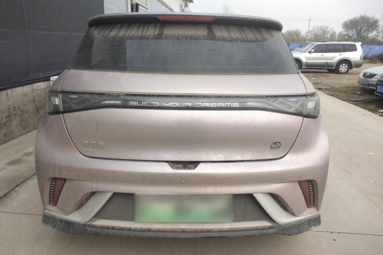 比亚迪 海豚 2021款 401km 骑士版车身外观6004