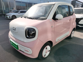 奔腾小马 2024款 170km 元气马