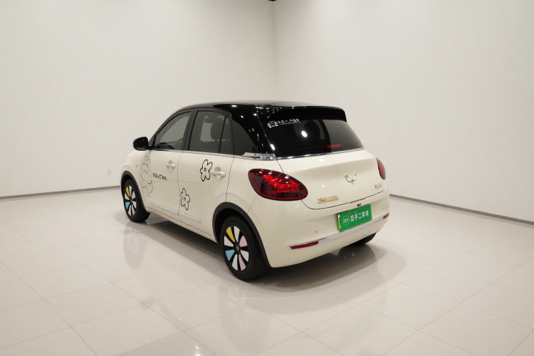 五菱汽车 五菱缤果 2024款 333km 悦享款车身外观5