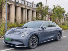 欧拉闪电猫 2022款 555km 尊贵版