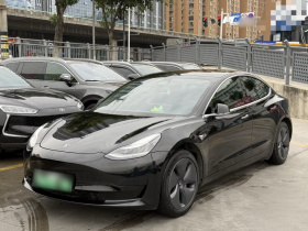 特斯拉 Model 3 2019款 标准续航后驱升级版