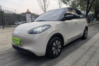 五菱汽车 五菱缤果 2024款 333km 悦享款