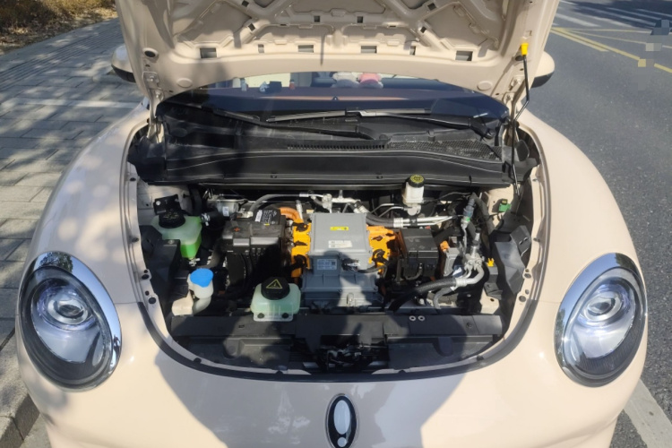 欧拉好猫 2023款 401km标准续航 豪华型 磷酸铁锂局部细节24