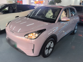 吉利银河 星愿 2025款 310km 青春版