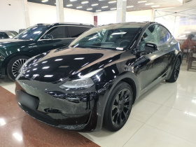 特斯拉 Model Y 2022款 后轮驱动版
