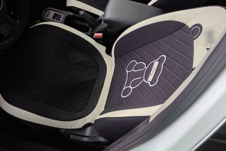 欧拉黑猫 2021款 301km 基础型中控内饰19