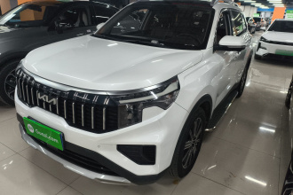 起亚 智跑 2021款 Ace 2.0L 精彩版