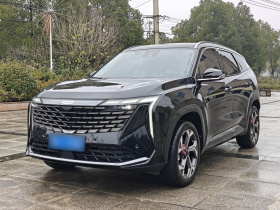 吉利汽车 博越L 2023款 1.5TD DCT尊贵型