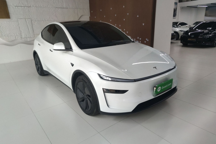 特斯拉 Model Y 2025款 长续航全轮驱动版车身外观6002